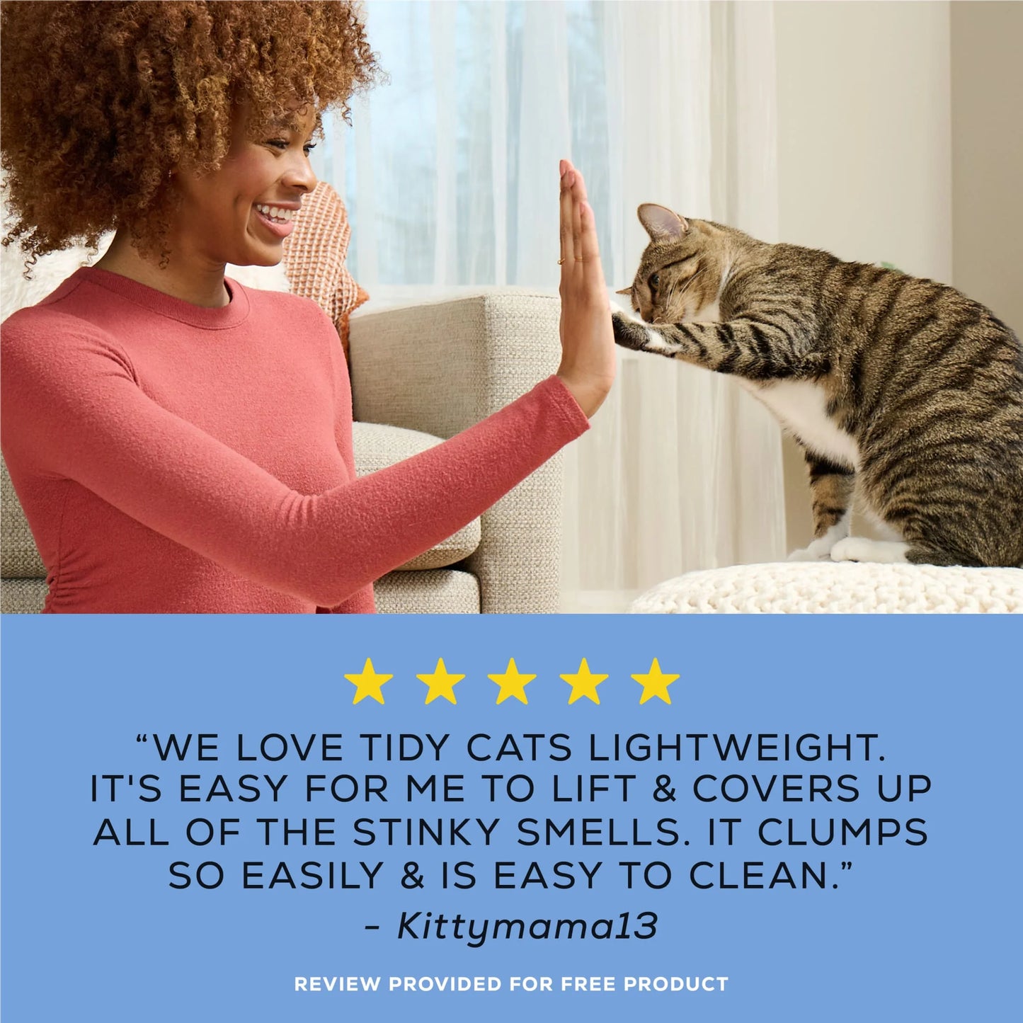 Purina  Lightweight Clumping Cat Litter, Low Dust, 24/7 Odor Control, 17 Lb. Pail