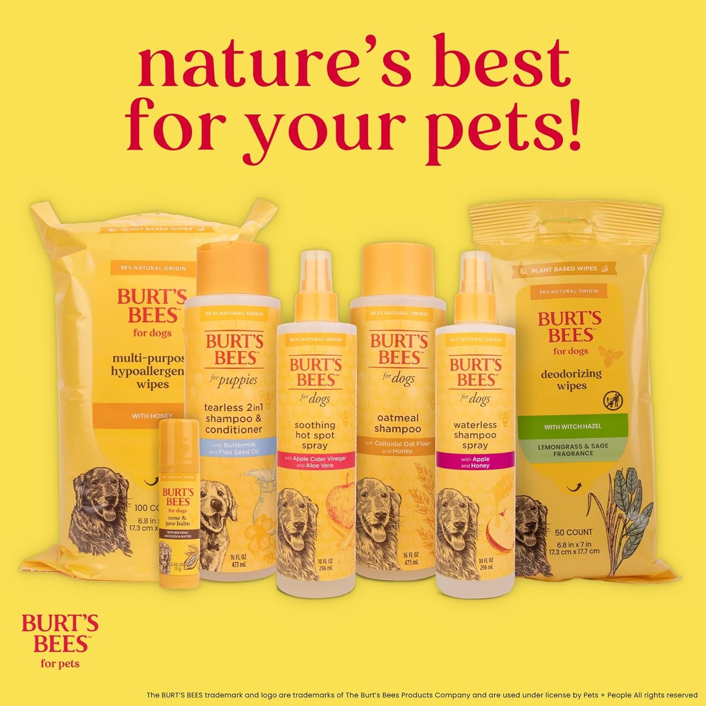 Tearless Puppy Shampoo with Buttermilk, 32Oz | Puppy & Dog Shampoo | Cruelty Free, Paraben & Sulfate Free Shampoo, Natural Shampoo for Dogs, Dog Wash, Dog Soap, Pet Shampoo