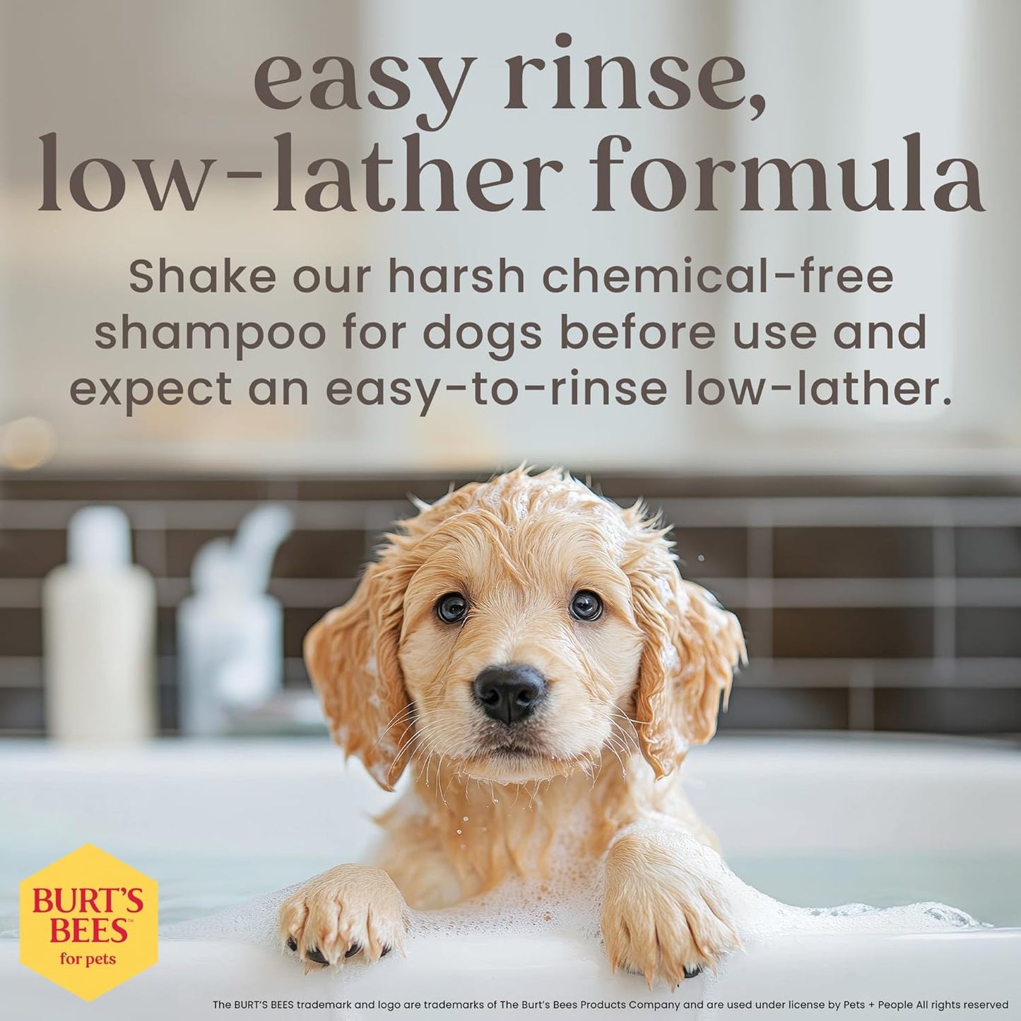 Tearless Puppy Shampoo with Buttermilk, 32Oz | Puppy & Dog Shampoo | Cruelty Free, Paraben & Sulfate Free Shampoo, Natural Shampoo for Dogs, Dog Wash, Dog Soap, Pet Shampoo