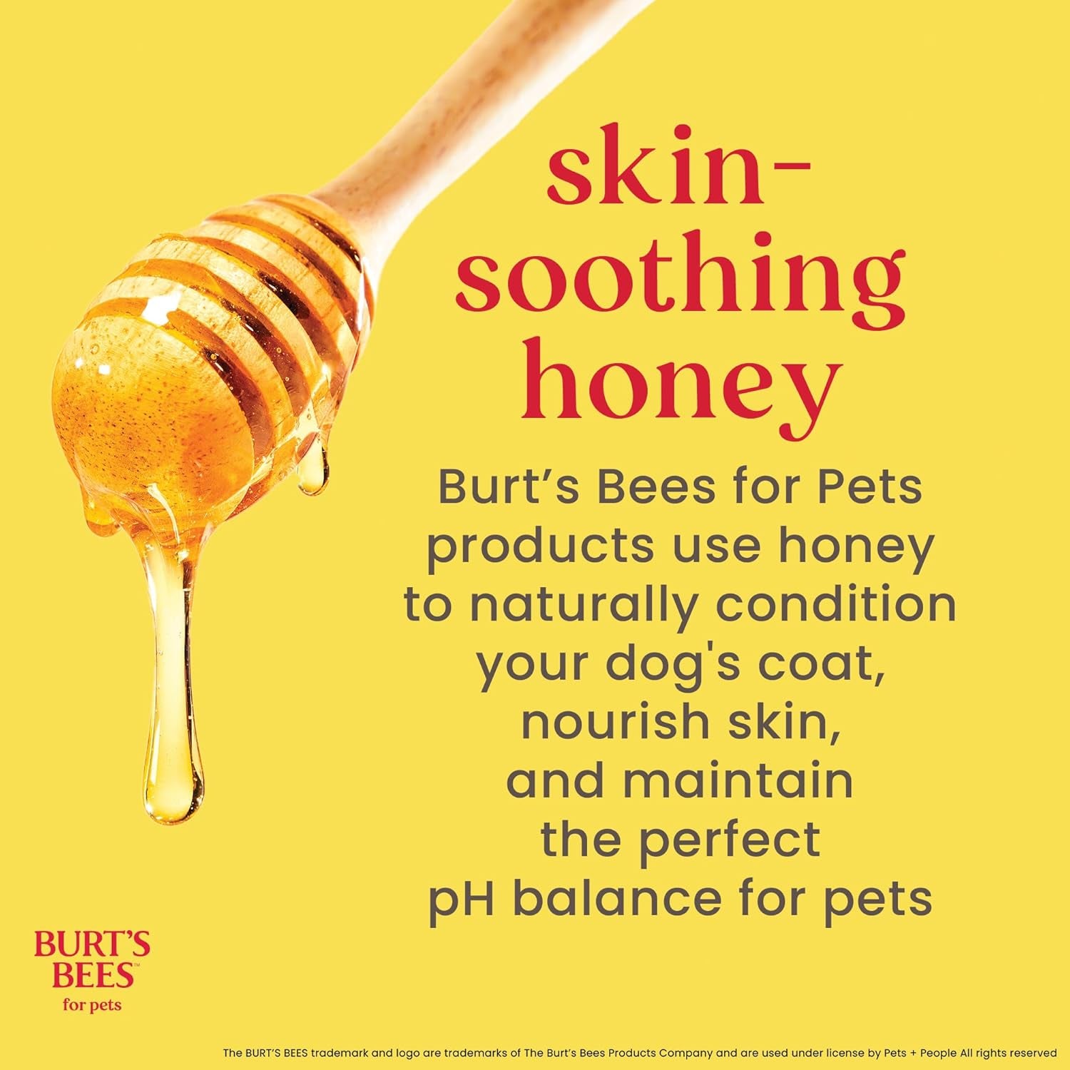 Tearless Puppy Shampoo with Buttermilk, 32Oz | Puppy & Dog Shampoo | Cruelty Free, Paraben & Sulfate Free Shampoo, Natural Shampoo for Dogs, Dog Wash, Dog Soap, Pet Shampoo