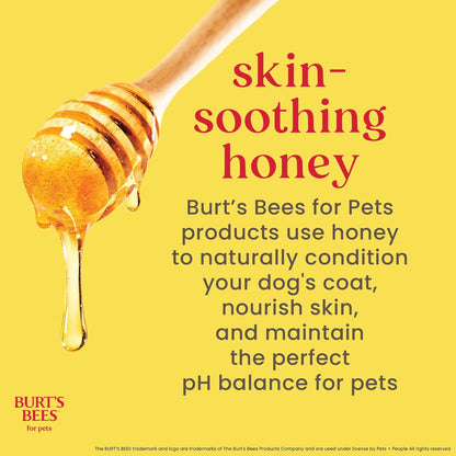 Tearless Puppy Shampoo with Buttermilk, 32Oz | Puppy & Dog Shampoo | Cruelty Free, Paraben & Sulfate Free Shampoo, Natural Shampoo for Dogs, Dog Wash, Dog Soap, Pet Shampoo