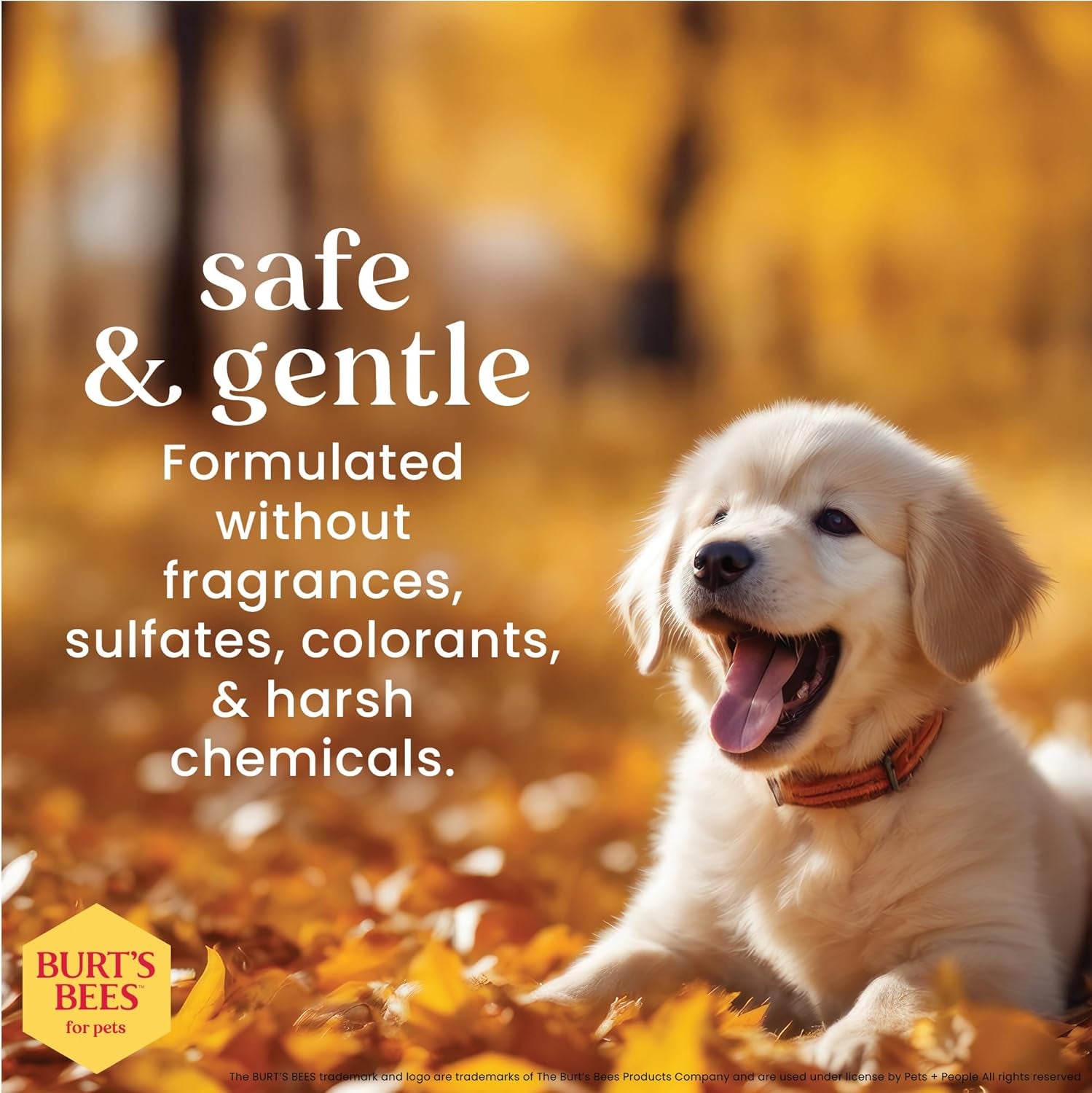 Tearless Puppy Shampoo with Buttermilk, 32Oz | Puppy & Dog Shampoo | Cruelty Free, Paraben & Sulfate Free Shampoo, Natural Shampoo for Dogs, Dog Wash, Dog Soap, Pet Shampoo